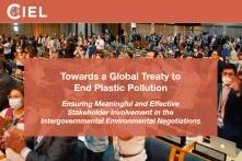 Website Screenshot "Towards a Global Treaty to End Plastic Pollution"