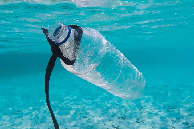 A plastic bottle swimming in the ocean