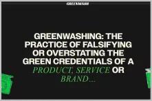 Screenshot of Greenwash Website