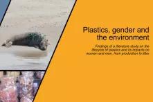 Title of Cover "Plastics, Gender and the Environment"