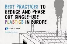 Cover of "Best Practices to Reduce and Phase Out Single-Use Plastics in Europe (2021)"