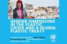 Cover of "Gender Dimensions in the Plastic Crisis and a Global Plastic Treaty (2023)"