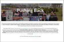 Website Screenshot of "Pushing Back - A Giode for Frontline Communities Challenging Petrochemical Expansion"