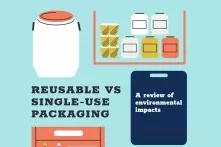 Cover of "Reusable vs. Single-Use Packaging: A Review of Environmental Impacts (2020)"