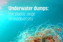 Cover of "Underwater dumps: the plastic siege on biodiversity". Entangled fishing line. 