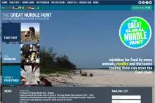 Website Screenshot: The Great Nurdle Hunt