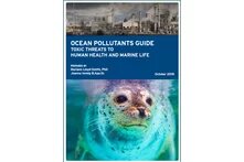 Cover Ocean Pollutants Guide. Factory with smoking chimneys on top. Title in the middle. Seal at the bottom