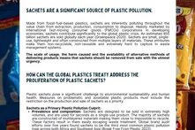 Cover: Beyond Sachets: Buliding a Reuse Economy