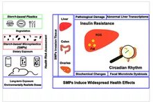 Three Graphics from the publication