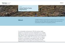 Website homepage: TESS