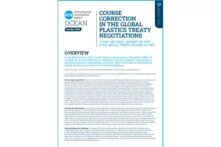 Cover of the briefing: Course correction in the Global Plastics Treaty negotiations