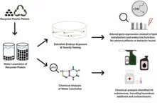 Graphical representation: Effects of leachates from black recycled polyethylene plastics on mRNA expression of genes involved in adipogenesis and endocrine pathways in zebrafish embryos