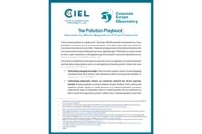 Cover of "The Pollution Playbook: how industry blocks regulation of toxic chemicals"