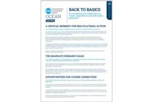 Cover of the publication: Back to Basics – Alternative Pathways