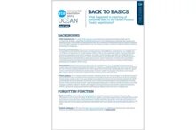 Cover of the study: Back to Basics – Reporting