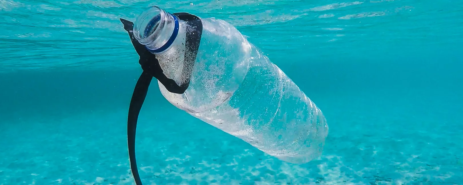 A plastic bottle swimming in the ocean